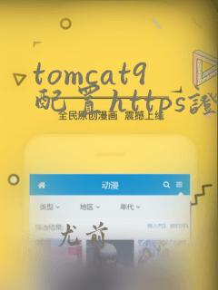 tomcat9配置https证书