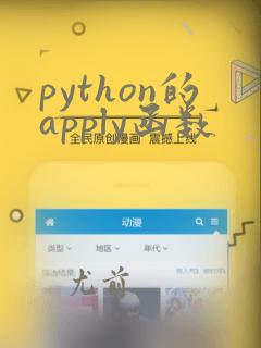 python的apply函数