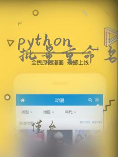 python 批量重命名文件