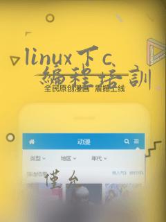 linux下c 编程培训