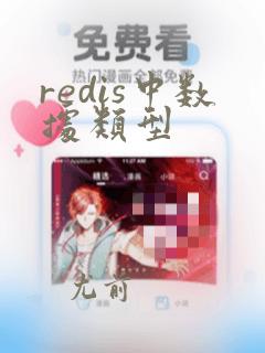 redis中数据类型