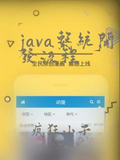 java系统开发流程