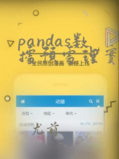 pandas数据预处理实战案例