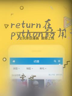 return在python的用法