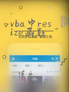 vba中resize函数