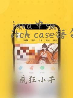 java中switch case语句的用法