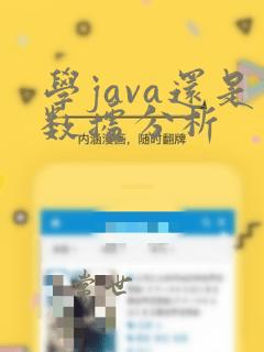 学java还是数据分析