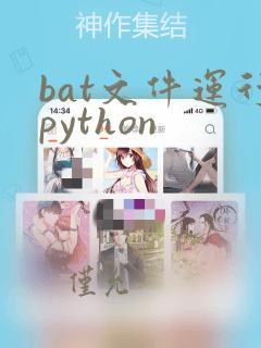 bat文件运行python