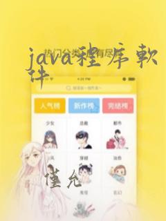 java程序软件