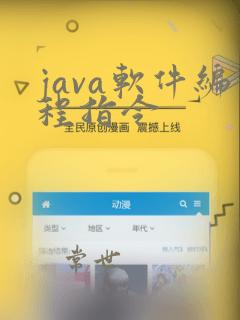 java软件编程指令