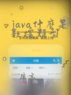 java什么是数据类型