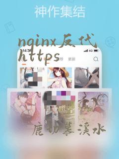 nginx反代https