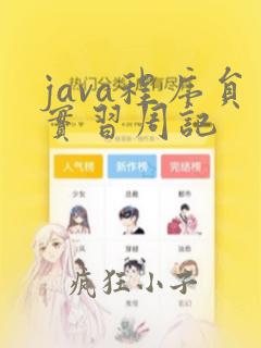 java程序员实习周记