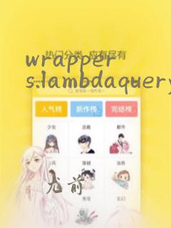 wrappers.lambdaquery()