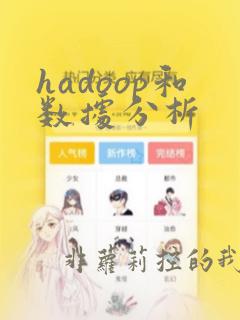 hadoop和数据分析