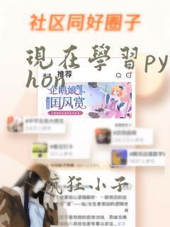 现在学习python