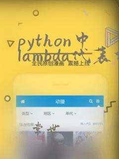 python中lambda代表什么