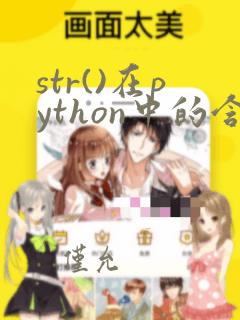 str()在python中的含义
