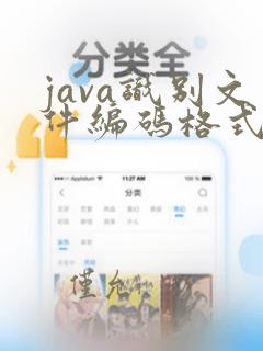 java识别文件编码格式