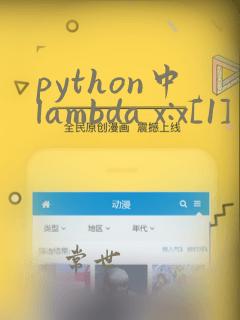 python中lambda x:x[1]