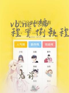vb.net编程实例教程