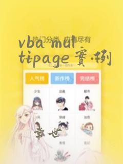 vba multipage实例