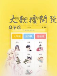 大数据开发和java