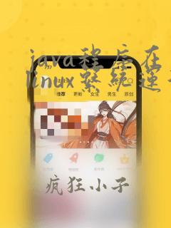 java程序在linux系统运行命令