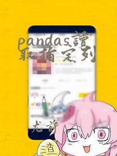 pandas读取指定列