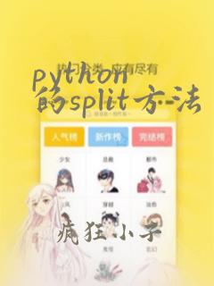 python 的split方法