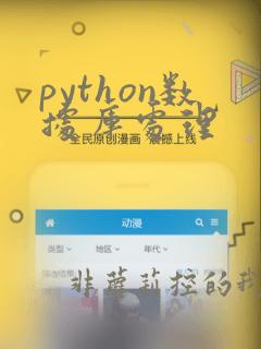 python数据库处理