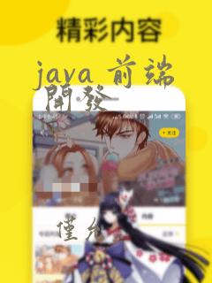 java 前端 开发