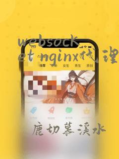 websocket nginx代理https