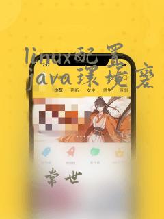 linux配置java环境变量命令