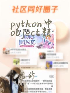 python中object类