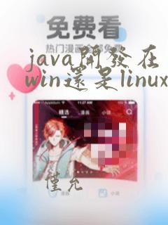java开发在win还是linux方便