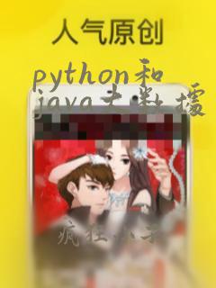 python和java大数据