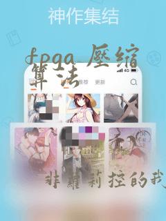 fpga 压缩算法