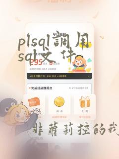 plsql调用sql文件