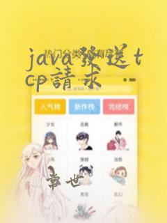 java发送tcp请求