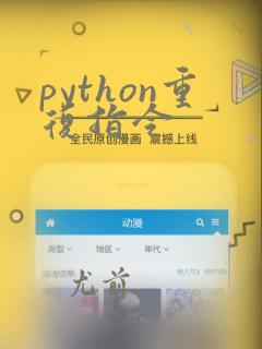 python重复指令