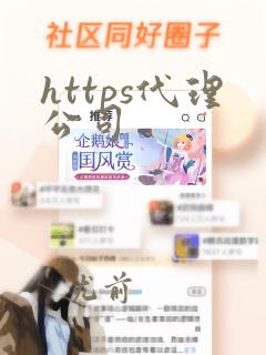 https代理公司