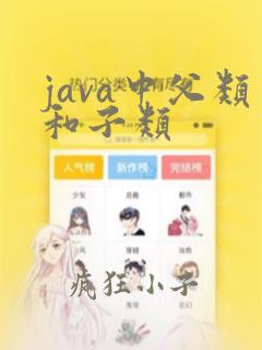 java中父类和子类