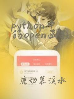 python中的open函数
