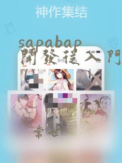sapabap开发从入门到精通