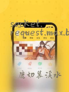 socket.request.max.bytes