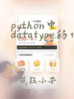 python中datatype的作用