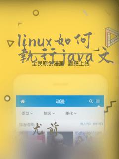 linux如何执行java文件