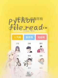 python file.read