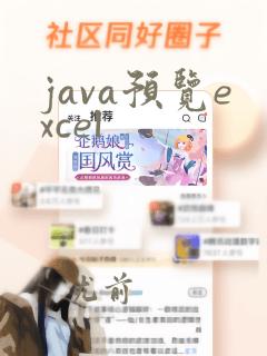 java预览excel